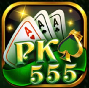 Secure gaming experience with PK555 security measures ensuring data protection and account safety.